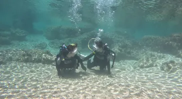 武藤潜水に投稿された画像（2024/3/21）