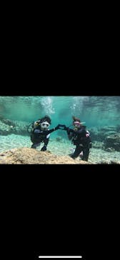 沖縄マリンサービス碧に投稿された画像（2024/3/21）