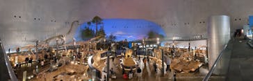 福井県立恐竜博物館に投稿された画像（2024/3/21）