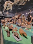 特別展「大哺乳類展３－わけてつなげて大行進」に投稿された画像（2024/3/21）