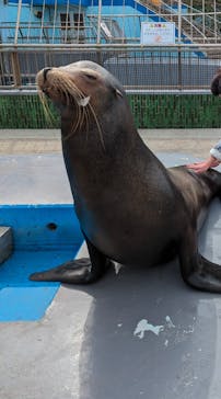 南知多ビーチランド＆南知多おもちゃ王国に投稿された画像（2024/3/21）