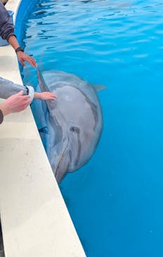 南知多ビーチランド＆南知多おもちゃ王国に投稿された画像（2024/3/21）