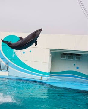 南知多ビーチランド＆南知多おもちゃ王国に投稿された画像（2024/3/21）