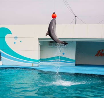 南知多ビーチランド＆南知多おもちゃ王国に投稿された画像（2024/3/21）