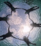 初心者専門宮古島シュノーケリングツアーに投稿された画像（2024/3/21）