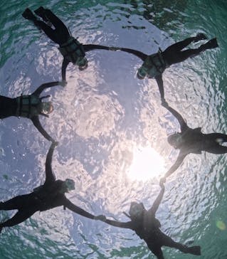 初心者専門宮古島シュノーケリングツアーに投稿された画像（2024/3/21）