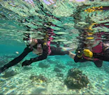 武藤潜水に投稿された画像（2024/3/21）