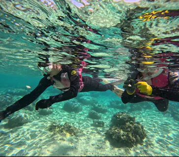 武藤潜水に投稿された画像（2024/3/21）