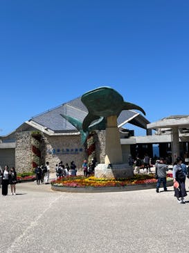 沖縄美ら海水族館に投稿された画像（2024/3/21）