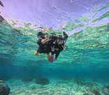 沖縄マリンサービス碧に投稿された画像（2024/3/21）