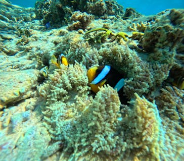 沖縄マリンサービス碧に投稿された画像（2024/3/21）