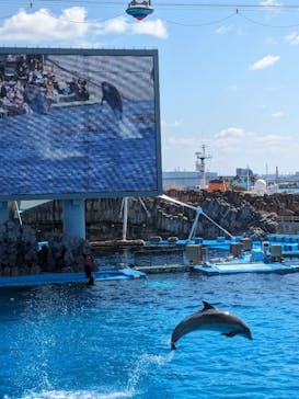 名古屋港水族館に投稿された画像（2024/3/21）