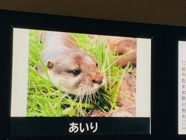 しながわ水族館に投稿された画像（2024/3/21）