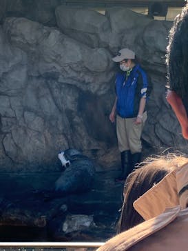 しながわ水族館に投稿された画像（2024/3/21）
