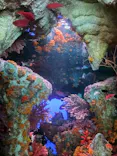 サンシャイン水族館に投稿された画像（2024/3/21）