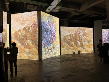 ゴッホ・アライブに投稿された画像（2024/3/21）