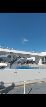 九十九島水族館海きららに投稿された画像（2024/3/21）