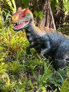 御菓子御殿　名護店　やんばる亜熱帯の森DINO恐竜PARKに投稿された画像（2024/3/21）