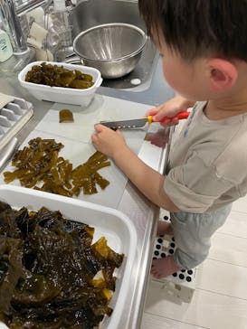 横浜・八景島シーパラダイスに投稿された画像（2024/3/21）