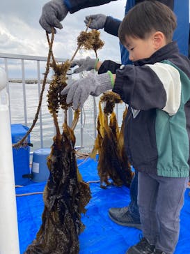 横浜・八景島シーパラダイスに投稿された画像（2024/3/21）