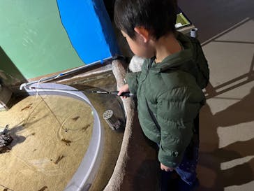 伊豆・三津シーパラダイスに投稿された画像（2024/3/21）