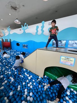 伊豆・三津シーパラダイスに投稿された画像（2024/3/21）