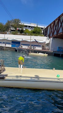 伊豆・三津シーパラダイスに投稿された画像（2024/3/21）