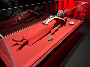 特別展「古代メキシコ ーマヤ、アステカ、テオティワカン」に投稿された画像（2024/3/21）