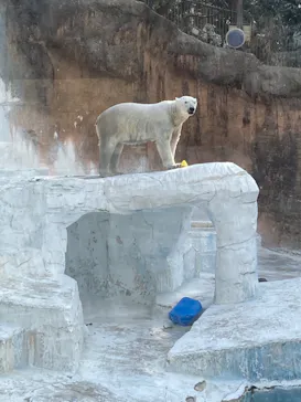 天王寺動物園に投稿された画像（2024/3/21）