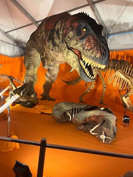 オダイバ恐竜博覧会2024 -福井から“ヤツラ”が新幹線でやってくる！-に投稿された画像（2024/3/21）