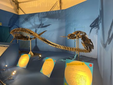 オダイバ恐竜博覧会2024 -福井から“ヤツラ”が新幹線でやってくる！-に投稿された画像（2024/3/21）