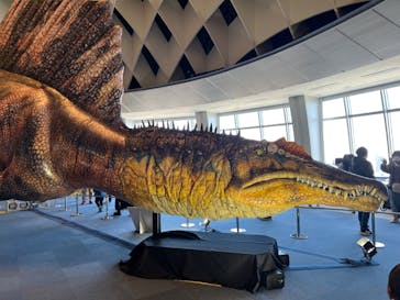 オダイバ恐竜博覧会2024 -福井から“ヤツラ”が新幹線でやってくる！-に投稿された画像（2024/3/21）