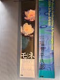 モネ　連作の情景に投稿された画像（2024/3/21）