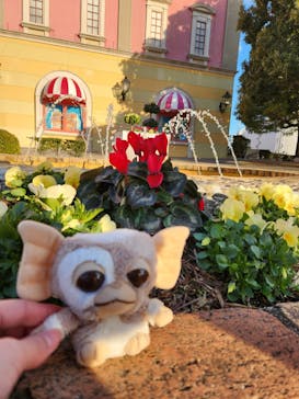 志摩スペイン村パルケエスパーニャに投稿された画像（2024/3/21）