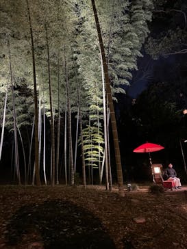 六義園に投稿された画像（2024/3/21）