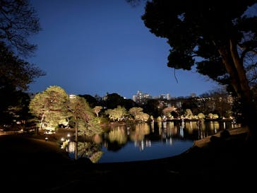 六義園に投稿された画像（2024/3/21）