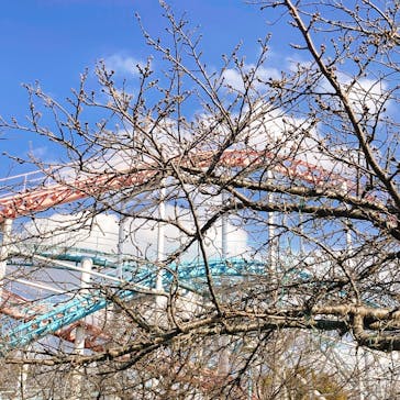 グリーンランドに投稿された画像（2024/3/21）