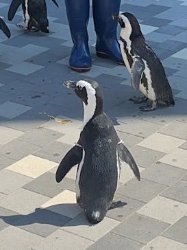 マリンワールド海の中道に投稿された画像（2024/3/21）