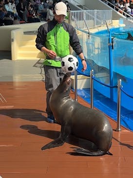 マリンワールド海の中道に投稿された画像（2024/3/21）