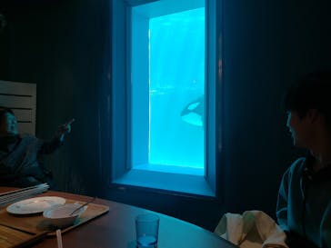 鴨川シーワールドに投稿された画像（2024/3/21）