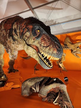 オダイバ恐竜博覧会2024 -福井から“ヤツラ”が新幹線でやってくる！-に投稿された画像（2024/3/22）