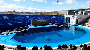 仙台うみの杜水族館に投稿された画像（2024/3/22）