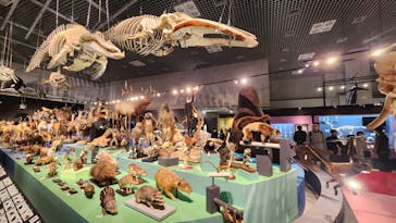 特別展「大哺乳類展３－わけてつなげて大行進」に投稿された画像（2024/3/22）