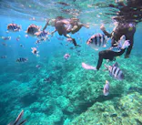 沖縄マリンサービス碧に投稿された画像（2024/3/22）