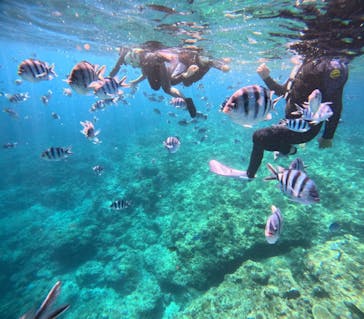 沖縄マリンサービス碧に投稿された画像（2024/3/22）