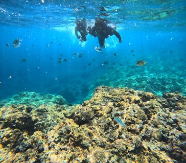 沖縄マリンサービス碧に投稿された画像（2024/3/22）