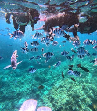 沖縄マリンサービス碧に投稿された画像（2024/3/22）