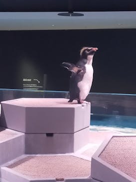 AOAO SAPPOROに投稿された画像（2024/3/22）