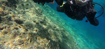 武藤潜水に投稿された画像（2024/3/22）