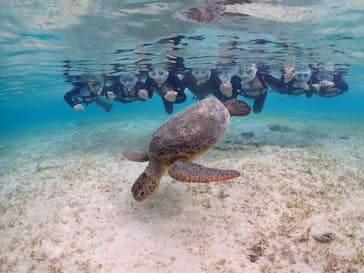 初心者専門宮古島シュノーケリングツアーに投稿された画像（2024/3/22）